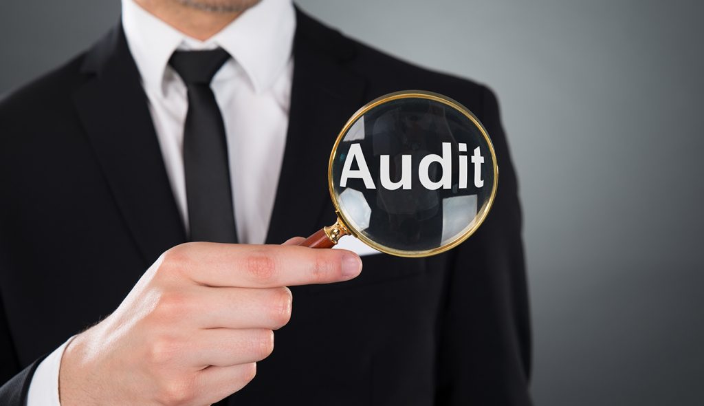The Ultimate 60-Minute Business Audit 7 Business Audit Rnc